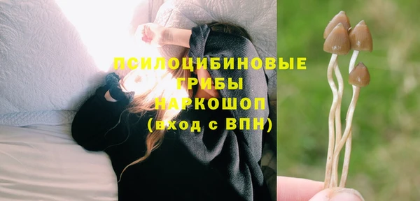 мяу мяу мука Балахна